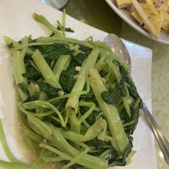Harbor Bay Village Seafood - Oong choy - Seafood Near Me - Newark, California Harbor Bay Village Seafood - Oong choy - Seafood Near Me - Newark, California