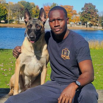K9 Obedience Academy - Pet Training Near Me - Rochester, New York
