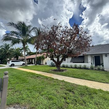Pepe Brothers Tree Service - Tree Services Near Me