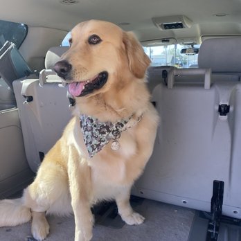Cold Nose Pet Salon - Pet Groomers Near Me - Escondido, California