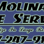Photo of Molina Tree Service