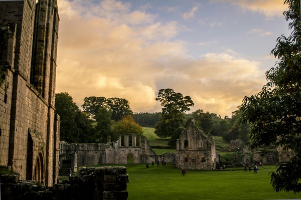 Fountains Abbey by null