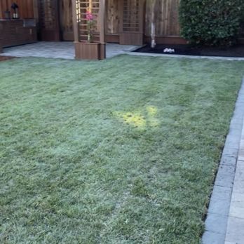 Milan Landscaping - Artificial Turf Near Me