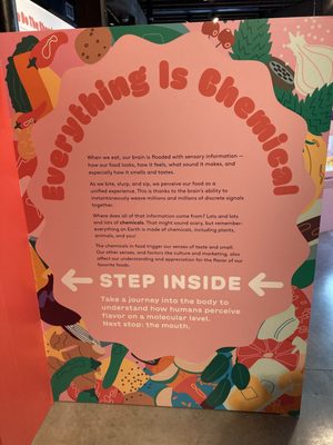 Museum of Food and Drink (MOFAD) by null