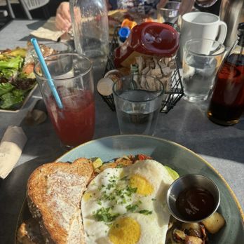 First Watch - Cafes Near Me - New Port Richey, Florida First Watch - Cafes Near Me - New Port Richey, Florida