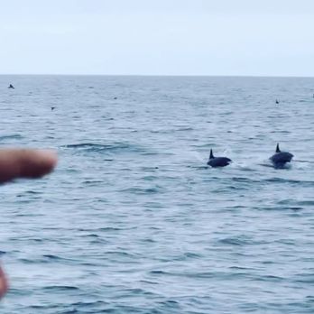 Oceanside Adventures - Boat Charters Near Me - Oceanside, California