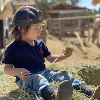 Best Valley Feed - Checking the hay quality. Lol so good !!! - Pet Stores Near Me - Pacoima, California