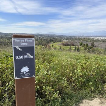 Torrey Pines Loop - Hiking Near Me - Chino Hills, California