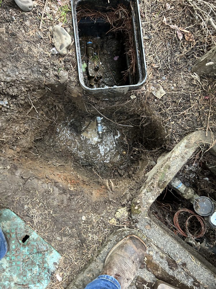 Slide of Wild Pine Plumbing