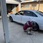 22r Auto Detailing