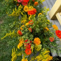 Salt Air Farm - Marigolds and Zinnias still in bloom - 9/26/2025