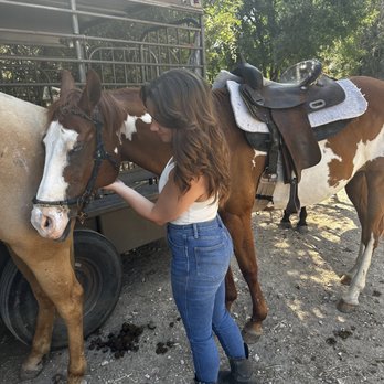 Maverick Horseback Riding - Horseback Riding Near Me - Austin, Texas Maverick Horseback Riding - Horseback Riding Near Me - Austin, Texas