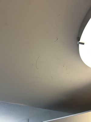 Coast Prince George Hotel by APA by null