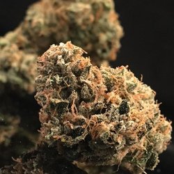 HPC - Top shelf flower selection