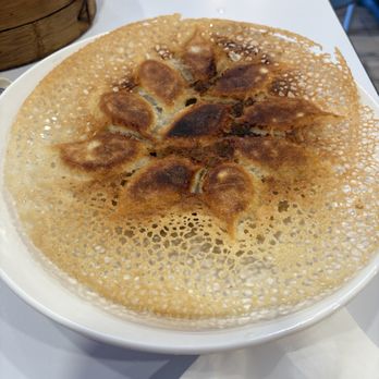 Li’s Potstickers - Snowflake pot stickers - Noodles Near Me - Sugar Land, Texas Li’s Potstickers - Snowflake pot stickers - Noodles Near Me - Sugar Land, Texas