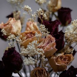 Divine Esthetics - Decor