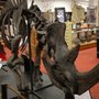 Photo of The Stirrup Gallery of Davis & Elkins College