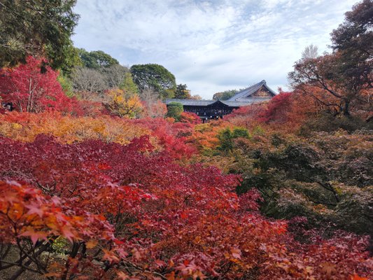 Tōfuku-ji Temple by null