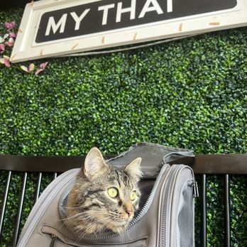 My Thai - Thai Near Me - Summerville, South Carolina