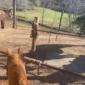 Cowgirl Up Stables - Horseback Riding Near Me - Cherry Log, Georgia