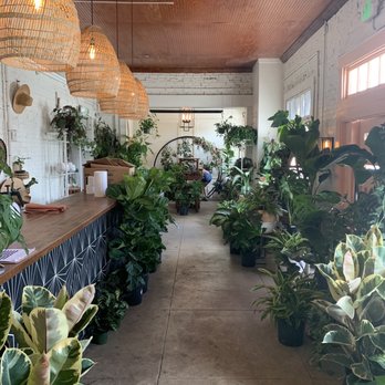 Fancy Free Nursery - Nurseries & Gardening Near Me - Tampa, Florida