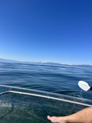 Wild Society Kayaking Rentals by null