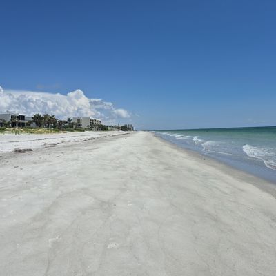 Longboat Key by null