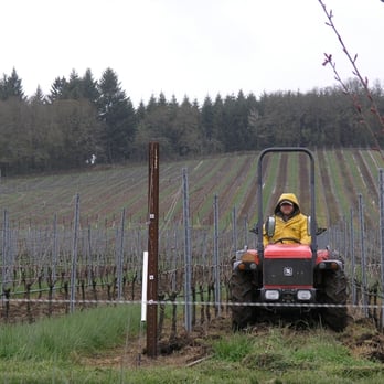 Illahe Vineyards - Brad Ford, winemaker - Wineries Near Me - Dallas, Oregon Illahe Vineyards - Brad Ford, winemaker - Wineries Near Me - Dallas, Oregon