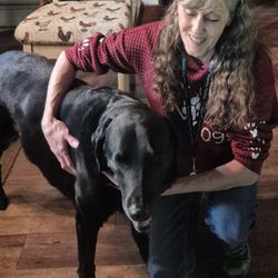 Mary O's Good Dog Training