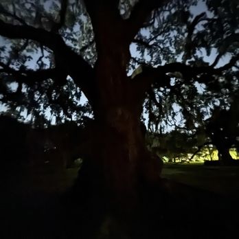 Haunted History Tours - Historical Tours Near Me - New Orleans, Louisiana Haunted History Tours - Historical Tours Near Me - New Orleans, Louisiana