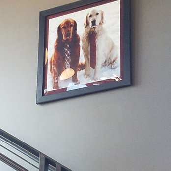 Lazy Dog Johnstown - American Near Me - Johnstown, Colorado