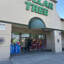 Dollar Tree - Walking in....