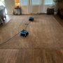 Photo of Royal Carpet Care
