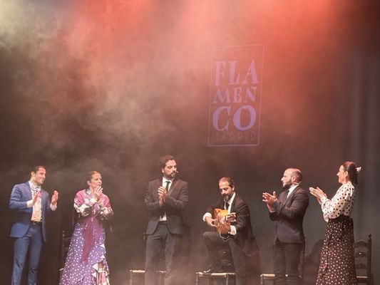 Teatro Flamenco Madrid by null