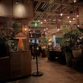 Earls Kitchen + Bar - Cocktail Bars Near Me - Honolulu, Hawaii Earls Kitchen + Bar - Cocktail Bars Near Me - Honolulu, Hawaii