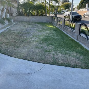 Green Forever - Original front yard - Landscaping Near Me - Hesperia, California