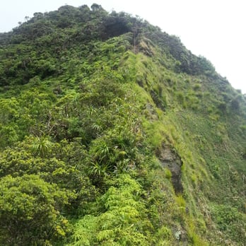 Kulepeamoa Ridge Hike - The "climb" or roped section. - Hiking Near Me - Honolulu, Hawaii Kulepeamoa Ridge Hike - The "climb" or roped section. - Hiking Near Me - Honolulu, Hawaii