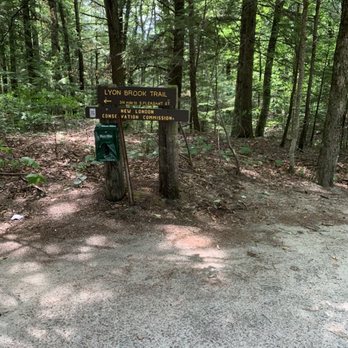 Lyon Brook Trail - Entrance to Lyon Brook Trail on Parkside Road - Hiking Near Me - New London, New Hampshire Lyon Brook Trail - Entrance to Lyon Brook Trail on Parkside Road - Hiking Near Me - New London, New Hampshire