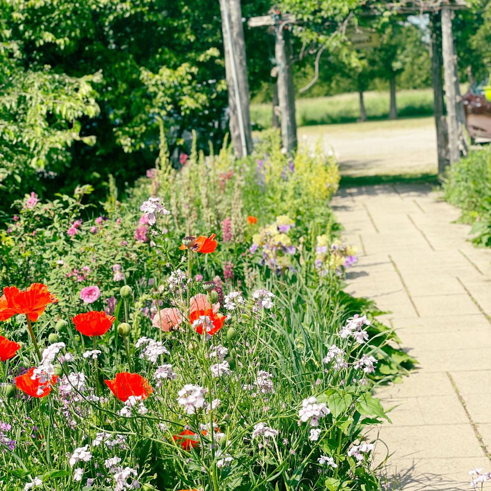 Garden's Gate - Walkway to parking - Canadian (New) Near Me - Tehkummah, Ontario