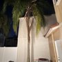 Photo of McDonald Tree Service