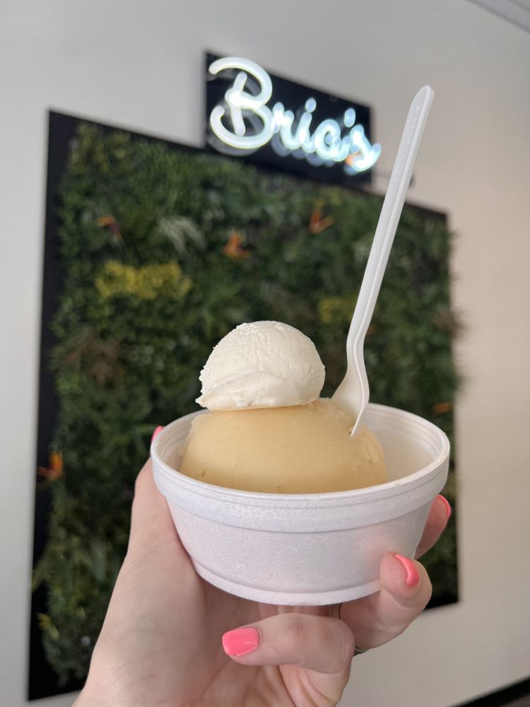 BRIA’S ITALIAN ICE & ICE CREAM Updated October 2024 11 Photos