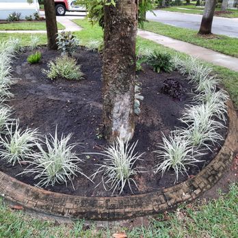 Nellys Landscape Services - a tree in a flower bed - Lawn Services Near Me Nellys Landscape Services - a tree in a flower bed - Lawn Services Near Me