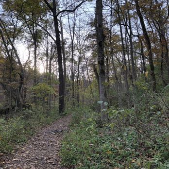 Clifton Gorge - Hiking Near Me - Yellow Springs, Ohio Clifton Gorge - Hiking Near Me - Yellow Springs, Ohio