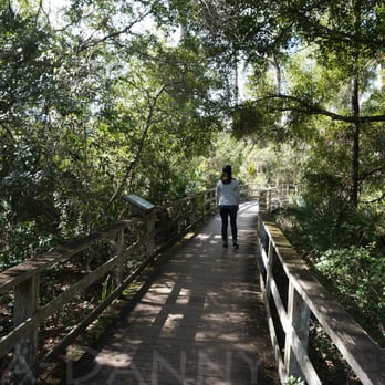 Audubon's Corkscrew Swamp Sanctuary - Typical boardwalk view... lots of trees and shade surrounding you - Hiking Near Me - Naples, Florida Audubon's Corkscrew Swamp Sanctuary - Typical boardwalk view... lots of trees and shade surrounding you - Hiking Near Me - Naples, Florida