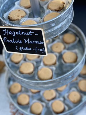 43 & Company by null