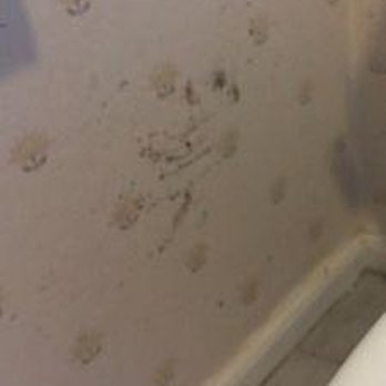 Mustang Plumbing & Rooter Service - untitled - Plumbing Near Me - Phoenix, Arizona Mustang Plumbing & Rooter Service - untitled - Plumbing Near Me - Phoenix, Arizona
