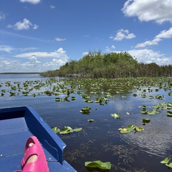 Sawgrass Recreation Park - Marsh area - Parks Near Me - Weston, Florida