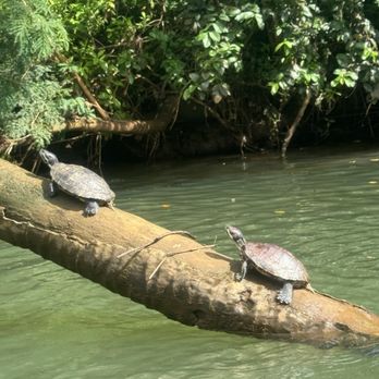 Kayak Hanalei - Tours Near Me - Hanalei, Hawaii