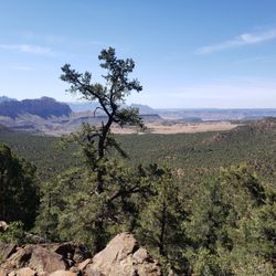 Amazing Adventures Gear Shop - The amazing view from the starting spot our guide took us to.