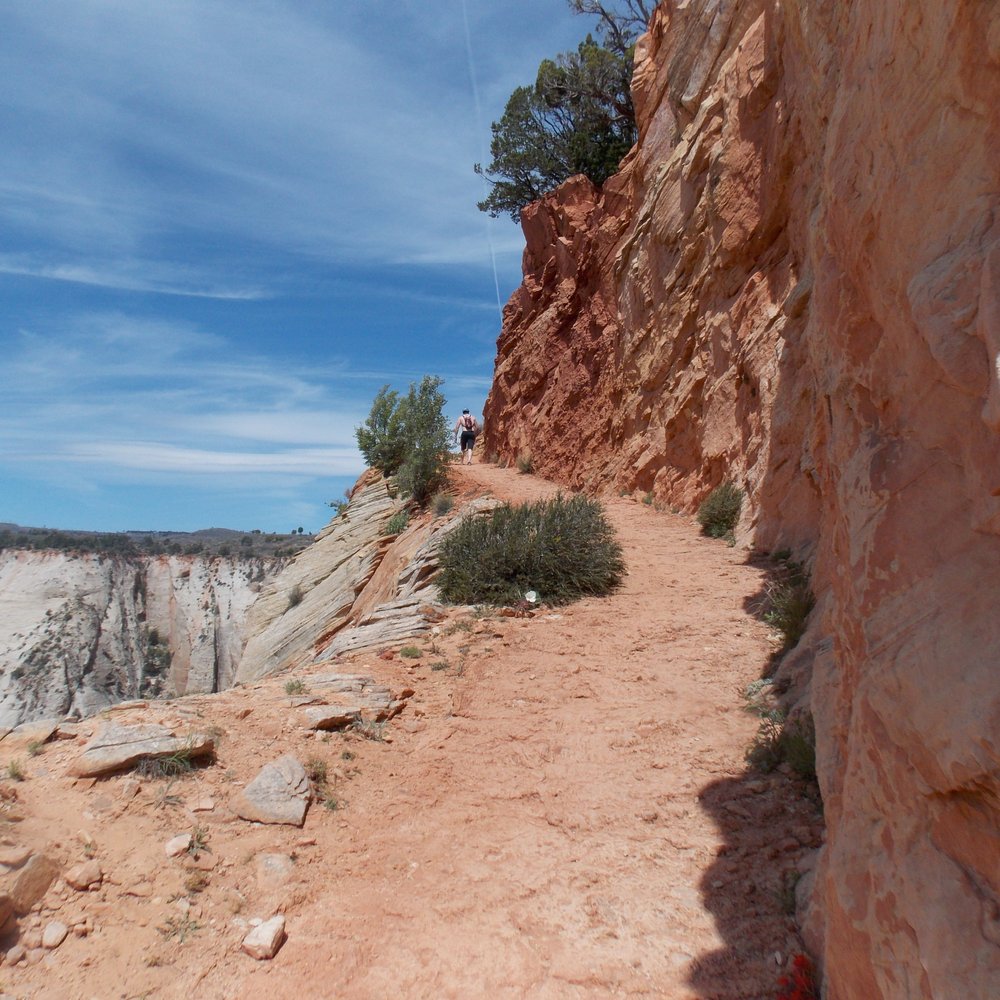 Observation Point - switchback at the end - Hiking Near Me - Springdale, Utah Observation Point - switchback at the end - Hiking Near Me - Springdale, Utah